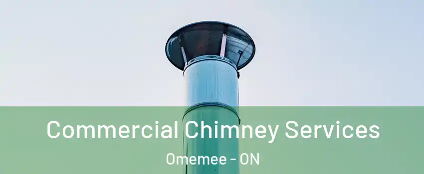  Commercial Chimney Services Omemee - ON