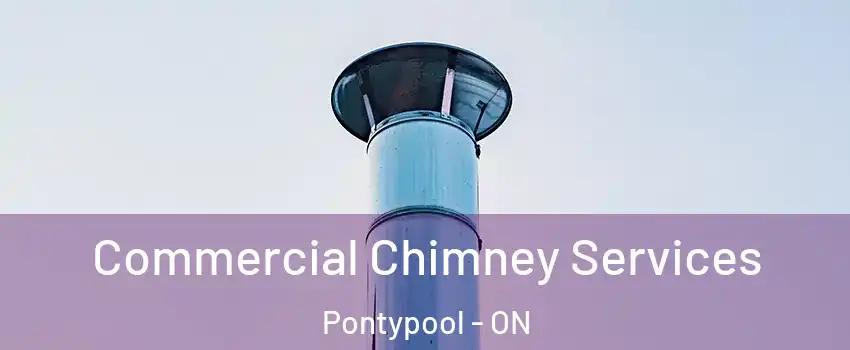  Commercial Chimney Services Pontypool - ON