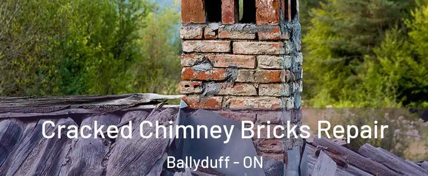  Cracked Chimney Bricks Repair Ballyduff - ON