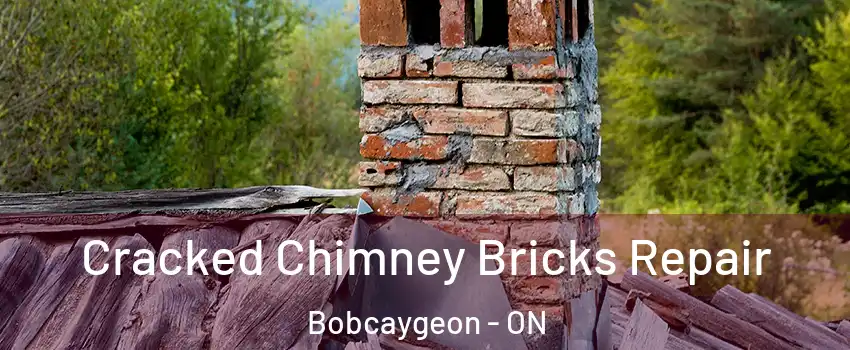  Cracked Chimney Bricks Repair Bobcaygeon - ON