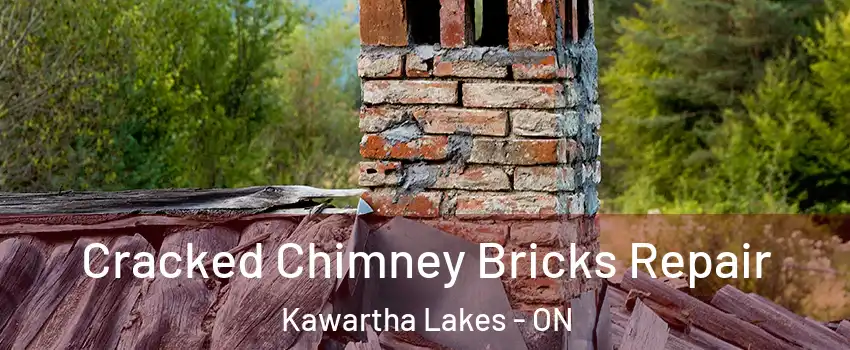  Cracked Chimney Bricks Repair Kawartha Lakes - ON