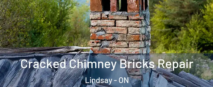  Cracked Chimney Bricks Repair Lindsay - ON