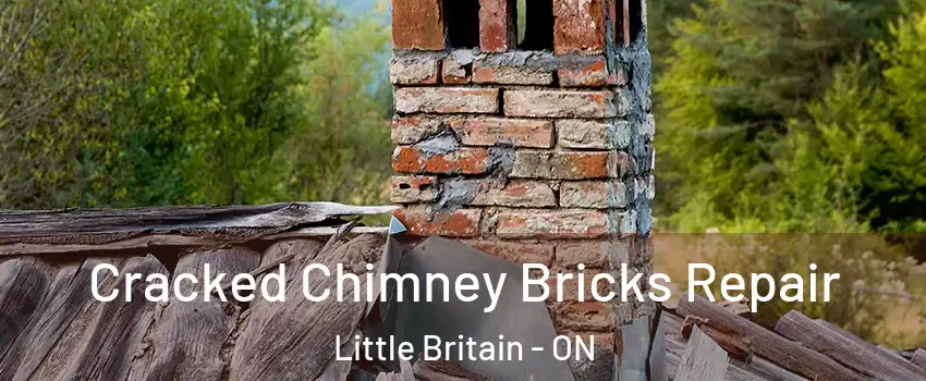  Cracked Chimney Bricks Repair Little Britain - ON