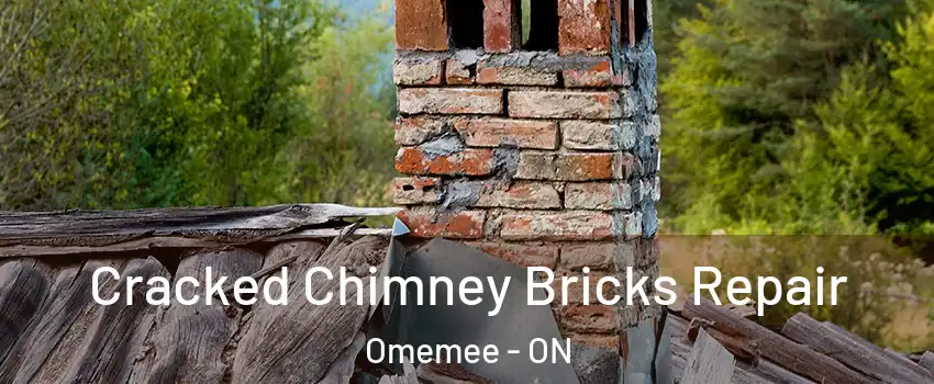  Cracked Chimney Bricks Repair Omemee - ON