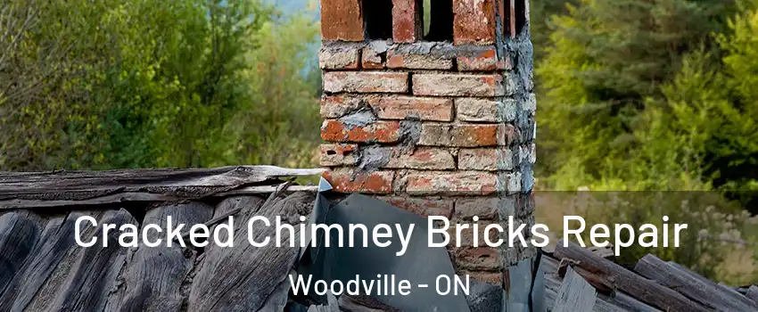  Cracked Chimney Bricks Repair Woodville - ON