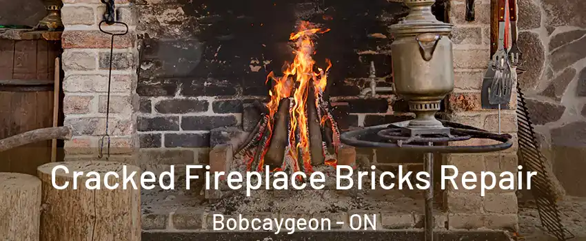  Cracked Fireplace Bricks Repair Bobcaygeon - ON