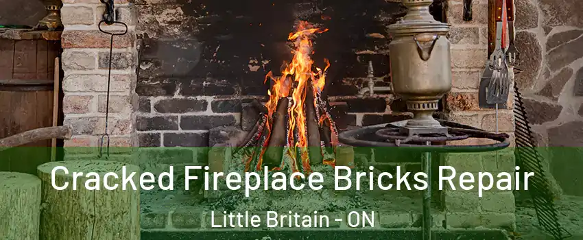  Cracked Fireplace Bricks Repair Little Britain - ON