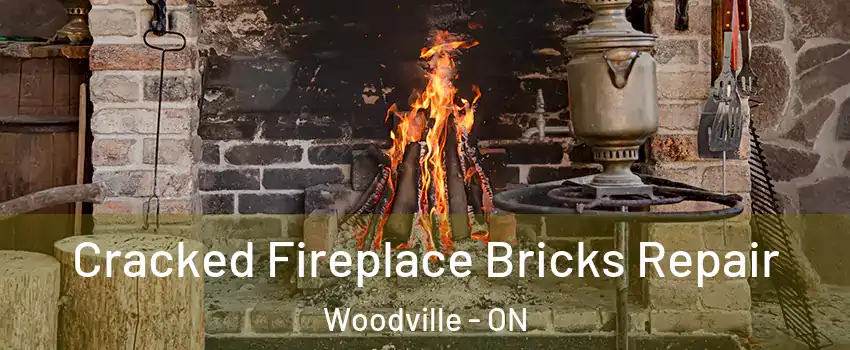  Cracked Fireplace Bricks Repair Woodville - ON