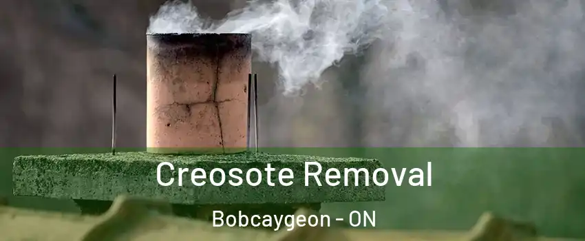  Creosote Removal Bobcaygeon - ON
