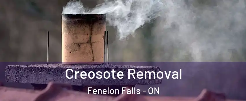  Creosote Removal Fenelon Falls - ON