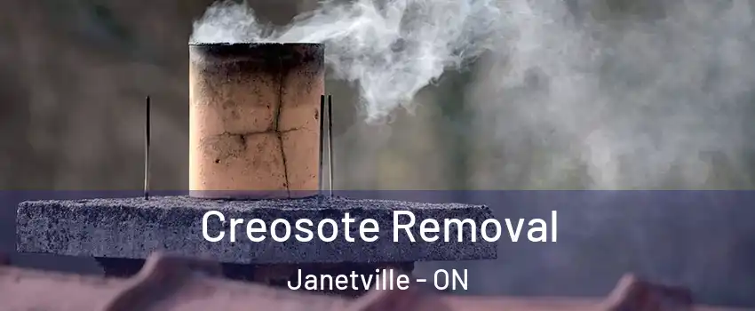  Creosote Removal Janetville - ON