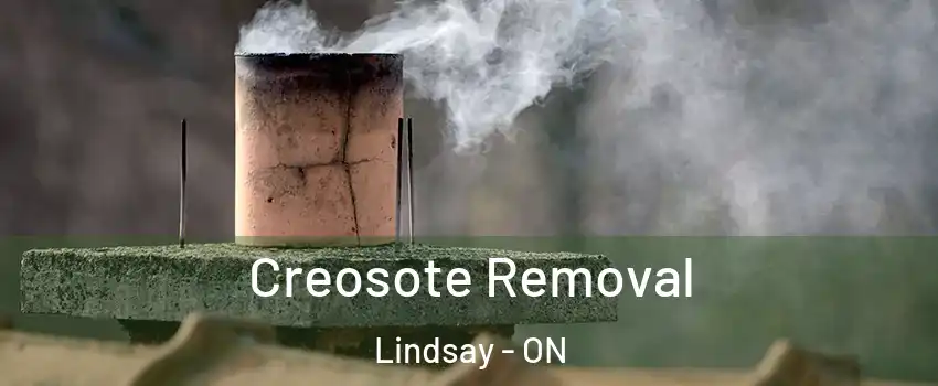  Creosote Removal Lindsay - ON