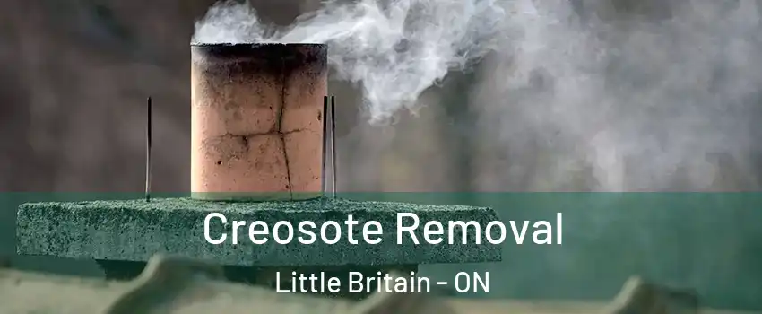  Creosote Removal Little Britain - ON