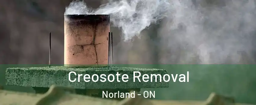  Creosote Removal Norland - ON
