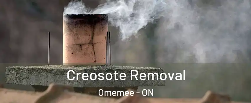  Creosote Removal Omemee - ON