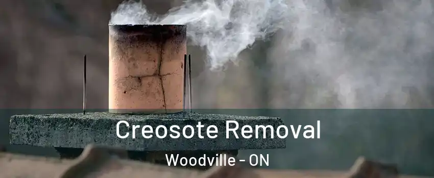  Creosote Removal Woodville - ON