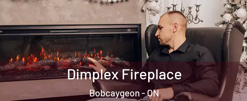  Dimplex Fireplace Bobcaygeon - ON