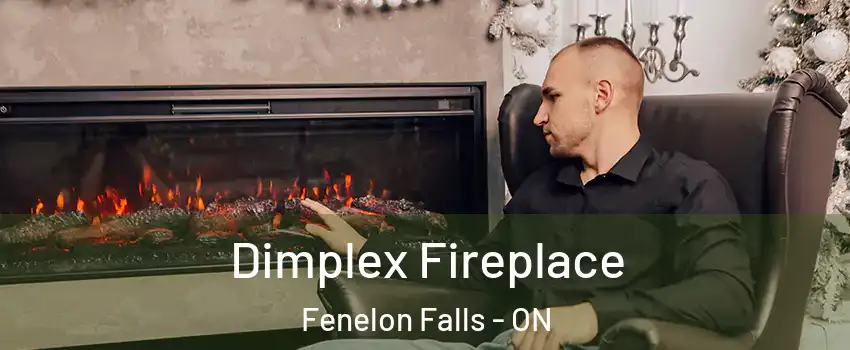  Dimplex Fireplace Fenelon Falls - ON