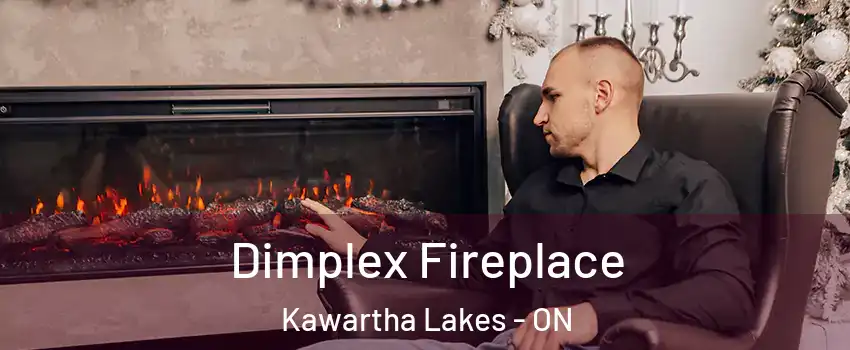 Dimplex Fireplace Kawartha Lakes - ON