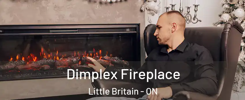  Dimplex Fireplace Little Britain - ON