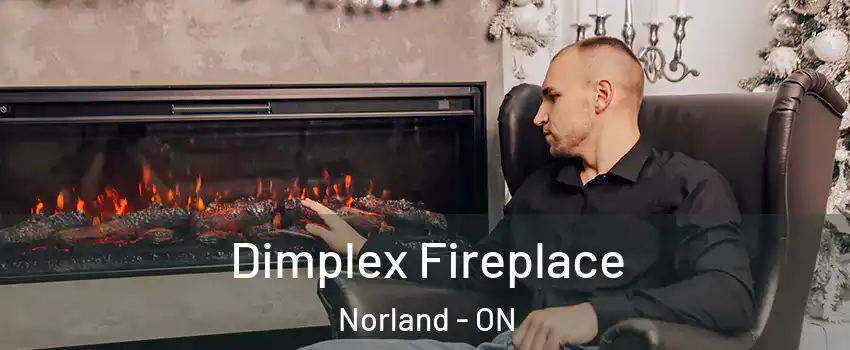  Dimplex Fireplace Norland - ON