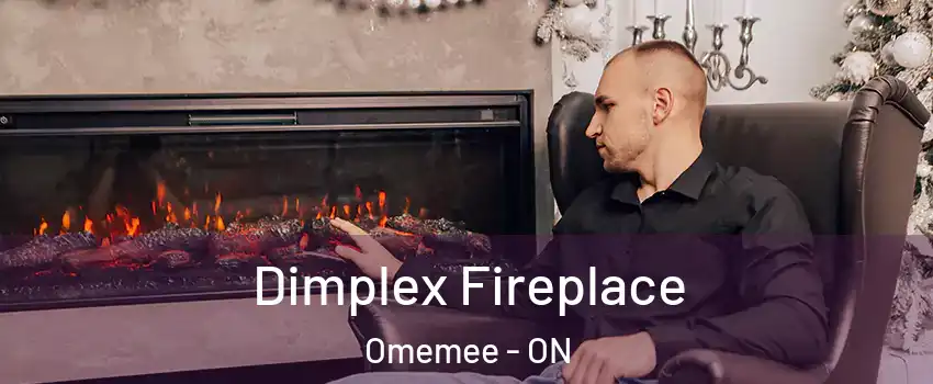  Dimplex Fireplace Omemee - ON