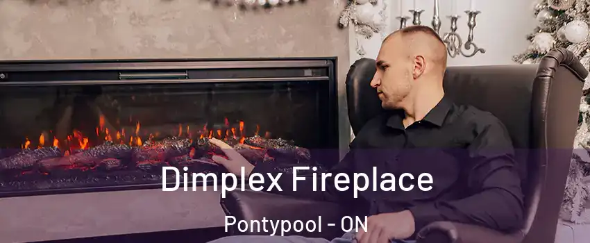  Dimplex Fireplace Pontypool - ON