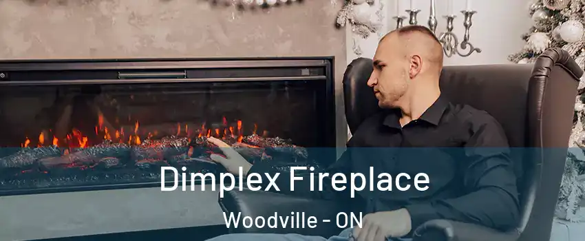  Dimplex Fireplace Woodville - ON