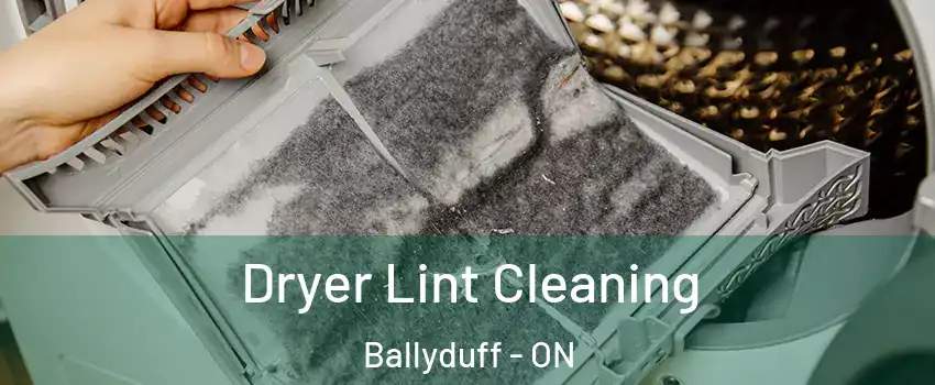  Dryer Lint Cleaning Ballyduff - ON