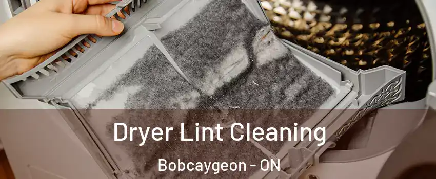  Dryer Lint Cleaning Bobcaygeon - ON