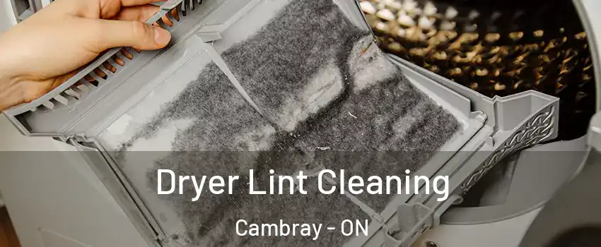  Dryer Lint Cleaning Cambray - ON
