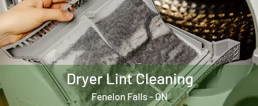  Dryer Lint Cleaning Fenelon Falls - ON