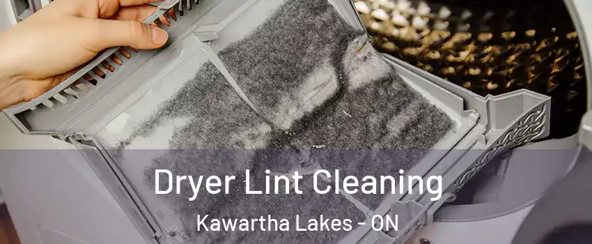  Dryer Lint Cleaning Kawartha Lakes - ON