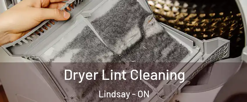  Dryer Lint Cleaning Lindsay - ON