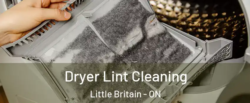  Dryer Lint Cleaning Little Britain - ON