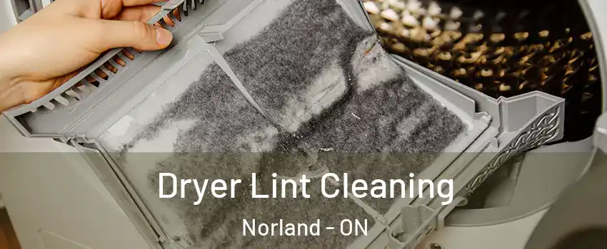  Dryer Lint Cleaning Norland - ON