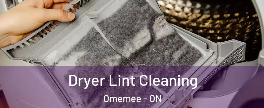  Dryer Lint Cleaning Omemee - ON
