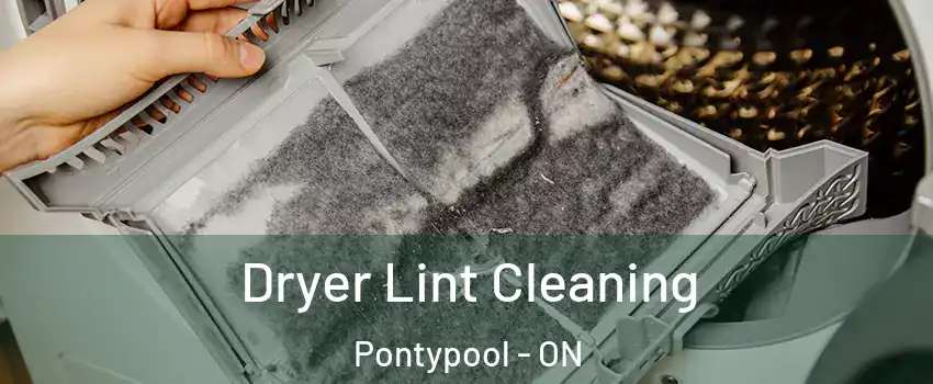  Dryer Lint Cleaning Pontypool - ON