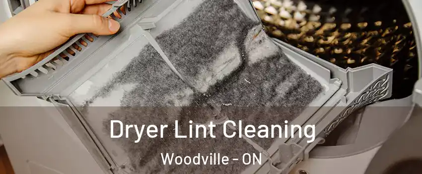 Dryer Lint Cleaning Woodville - ON