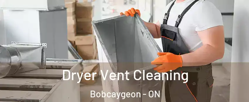  Dryer Vent Cleaning Bobcaygeon - ON