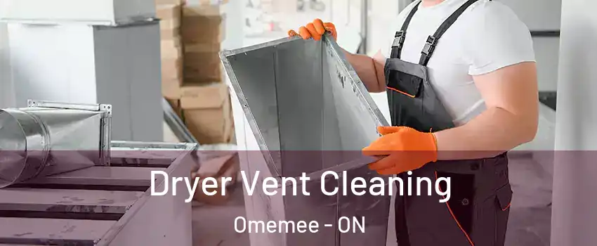  Dryer Vent Cleaning Omemee - ON