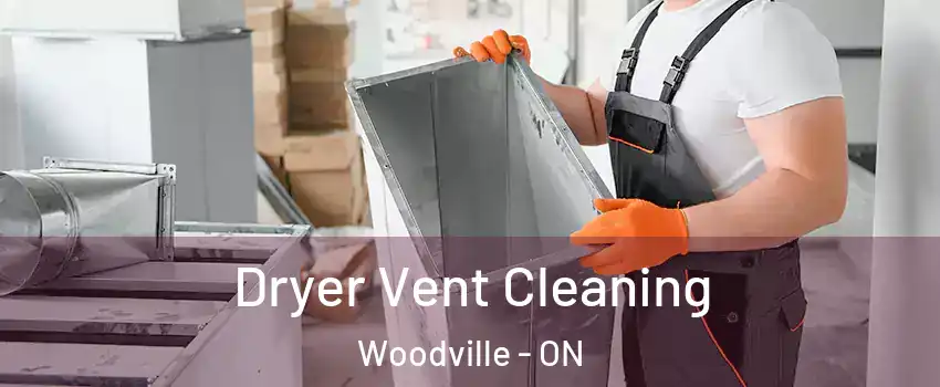  Dryer Vent Cleaning Woodville - ON