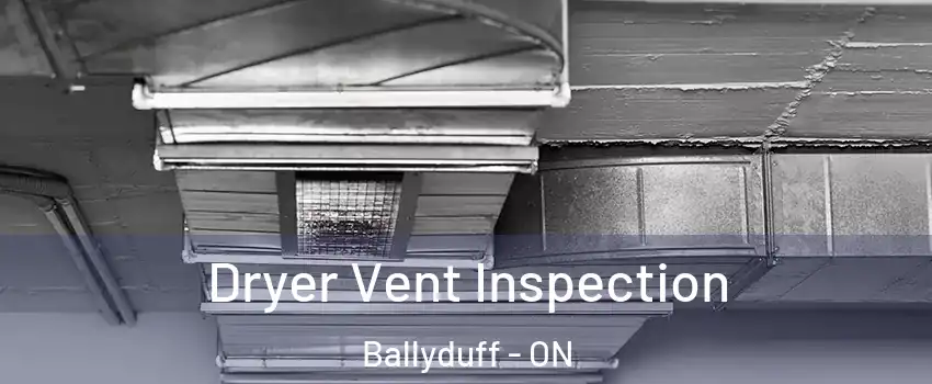  Dryer Vent Inspection Ballyduff - ON