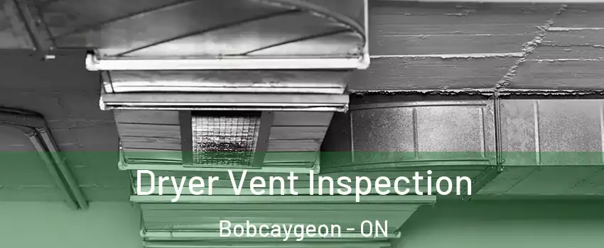  Dryer Vent Inspection Bobcaygeon - ON