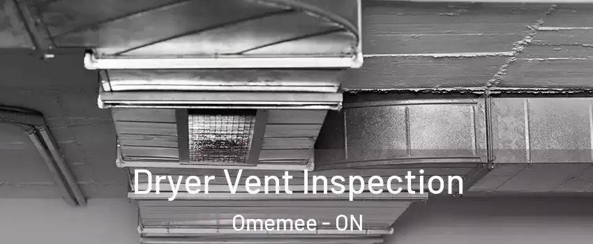  Dryer Vent Inspection Omemee - ON