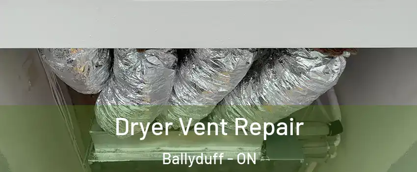  Dryer Vent Repair Ballyduff - ON