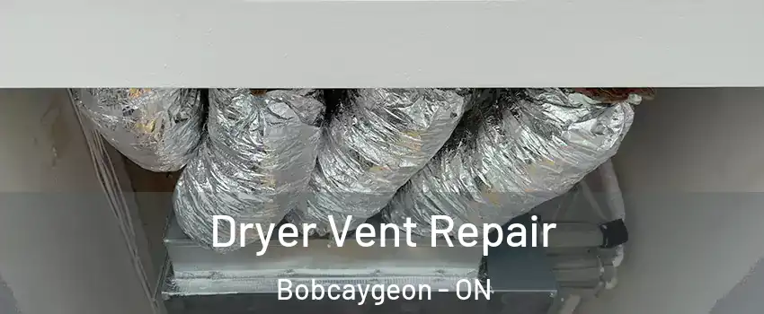  Dryer Vent Repair Bobcaygeon - ON