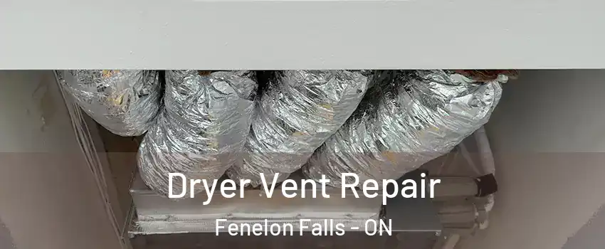  Dryer Vent Repair Fenelon Falls - ON