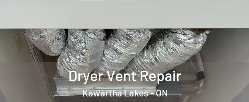  Dryer Vent Repair Kawartha Lakes - ON