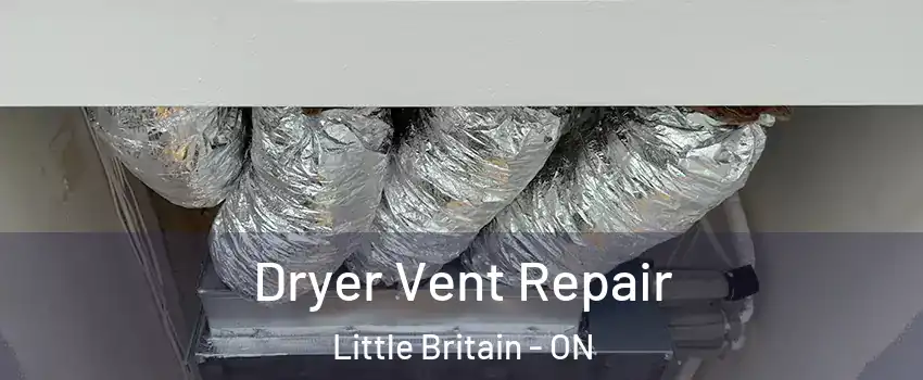  Dryer Vent Repair Little Britain - ON